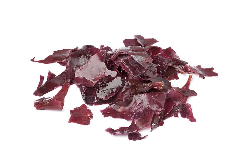 Søl (dulse) – Hvorfor Er Det Så Sundt?