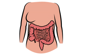 Probiotika i tarmene