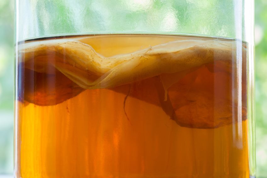 Kombucha – Alt Du Skal Vide Om Den Fermenterede Te