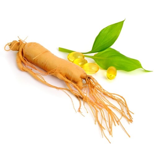 Ginseng rod