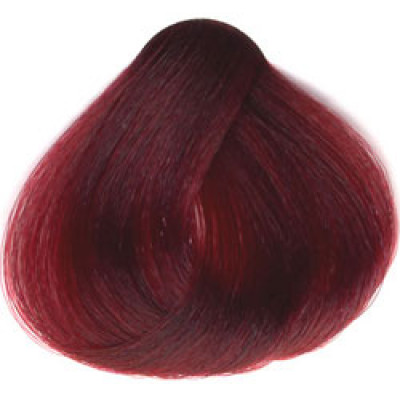 Sanotint 22 hårfarve Træbær 1 Stk