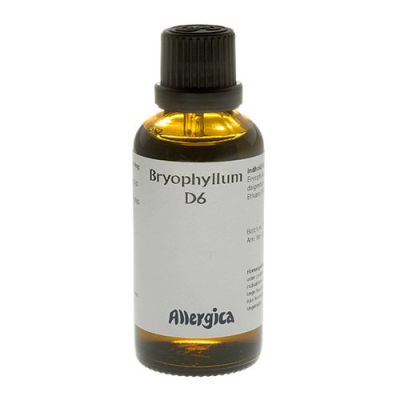 Bryophyllum D6 (50 ml)