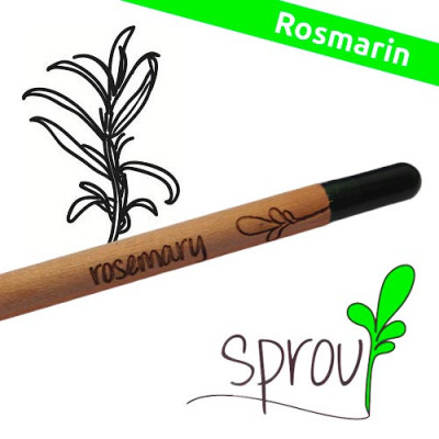 Sprout (Rosmarin)