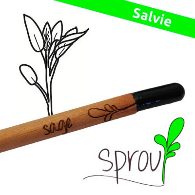 Sprout (Salvie)