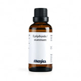 Allergica Epifysis/Stannum (50 ml) 