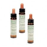 Dr. Bach Knavel Engholm (10 ml)