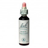Bachs White Chestnut - Hestekastanie Hvid (20 ml)