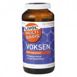 Livol Multi Basis Voksen med Magnesium (120 tabletter)