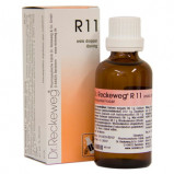 Dr. Reckeweg R 11, 50 ml