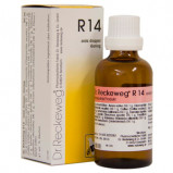 Dr. Reckeweg R 14, 50 ml.