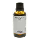 Allergica Bryophyllum D6 (50 ml)