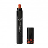 IDUN Minerals Lip Crayon, Barbro (2,5 g)