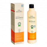 Organic Beauty Shampoo Til Tørt Hår (400 ml)