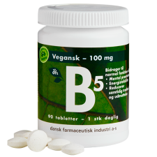 dfi B5 Vitamin 100 mg (90 depottabletter)