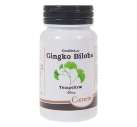 Camette Ginkgo Biloba 100 Mg (90 Tab)